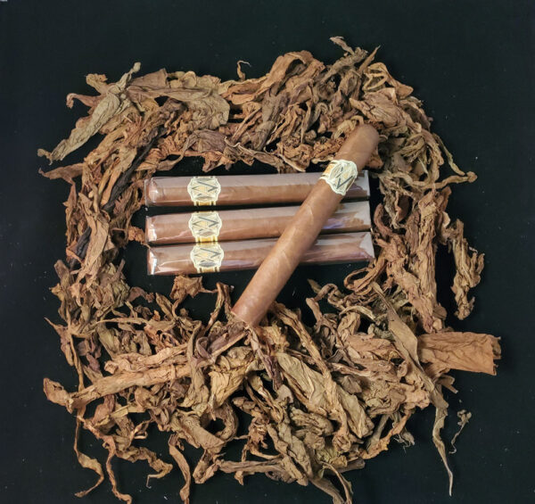 Avo Classic #2 (6" x 50)