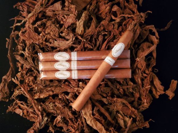 Davidoff Signature #2 Cello (6" x 38)