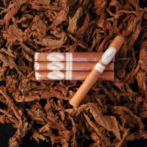 Davidoff Signature 1000 (4" 5/8 x 34)